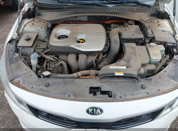 KNAGT4LE5H5012399 2017 KIA OPTIMA HYBRID Белый Вид сзади