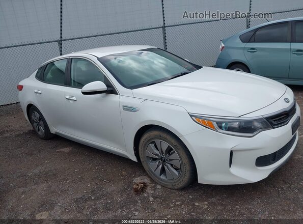 KNAGT4LE5H5012399 2017 KIA OPTIMA HYBRID Белый Вид задней части салона