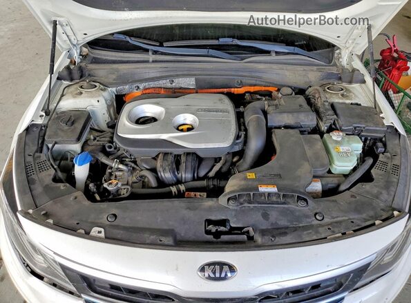 KNAGU4LE5L5041939 2020 KIA OPTIMA White Widok wnętrza z tyłu