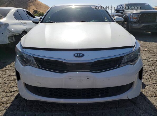 KNAGU4LEXK5032586 2019 KIA OPTIMA Белый Вид спереди
