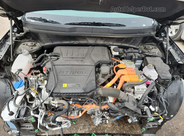 KNDCP3LE6T5341721 2026 KIA NIRO Черный 