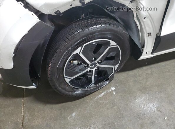 KNDCP3LEXT5340278 2026 KIA NIRO Белый 