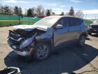 2021 Kia Seltos Lx Серый vin: KNDEPCAA2M7185966