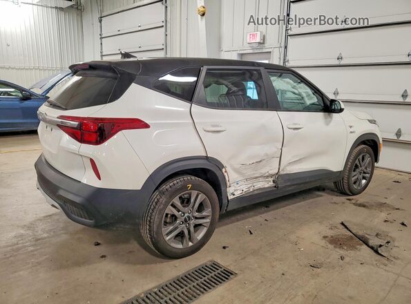 KNDEPCAA4P7433428 2023 KIA SELTOS White Tył prawy
