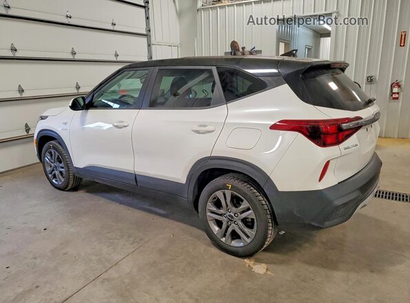 KNDEPCAA4P7433428 2023 KIA SELTOS White Tył lewy