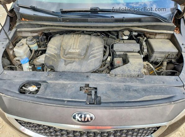 KNDMB5C10G6165972 2016 KIA SEDONA Brown Widok komory silnika