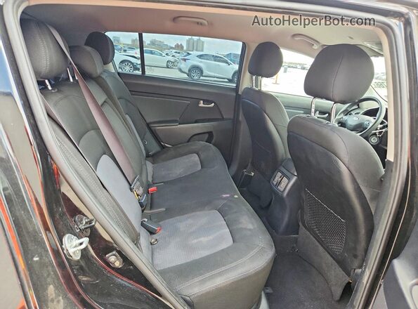 KNDPB3AC1G7858100 2016 KIA SPORTAGE Черный Вид задней части салона