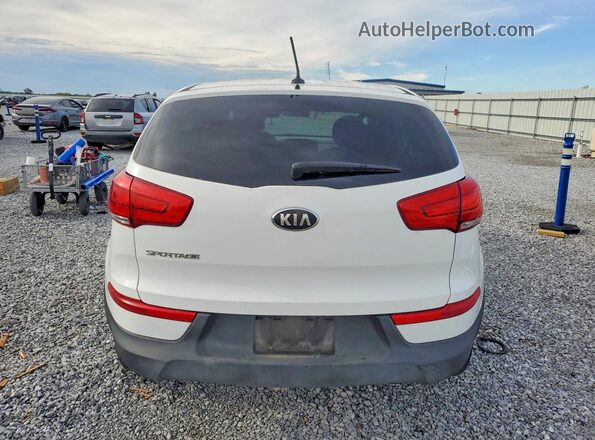 KNDPB3AC4G7875568 2016 KIA SPORTAGE Белый Вид сзади