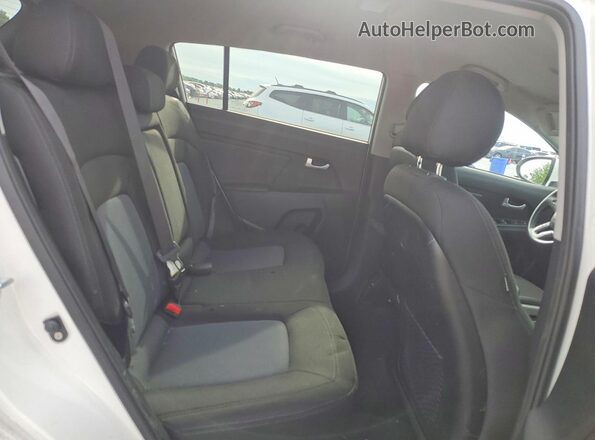 KNDPB3AC4G7875568 2016 KIA SPORTAGE Белый Вид задней части салона