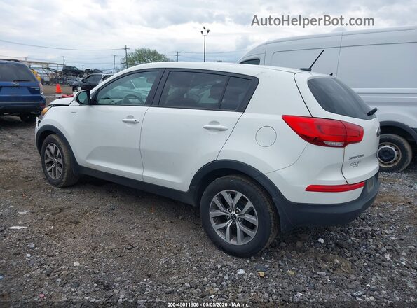 KNDPBCAC5G7811426 2016 KIA SPORTAGE Белый Задняя левая четверть