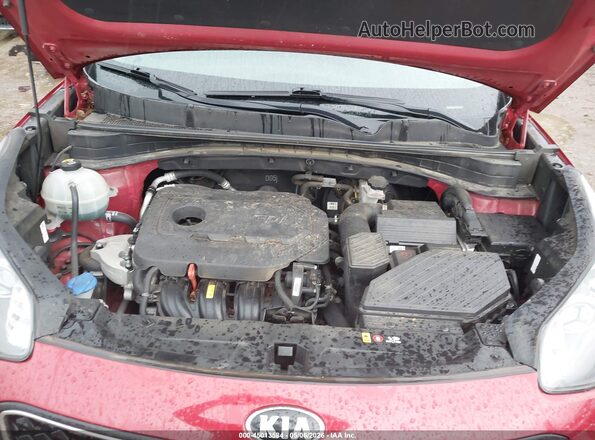 KNDPM3AC0K7493380 2019 KIA SPORTAGE Red Widok z tyłu