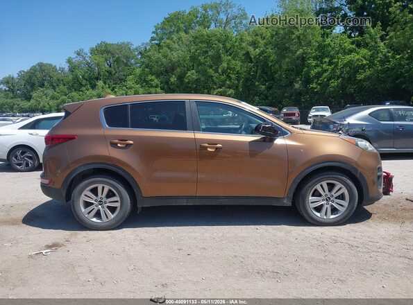 KNDPM3AC2J7314352 2018 KIA SPORTAGE Dark Brown Вид задней части салона