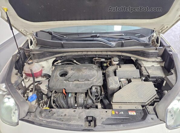 KNDPM3AC3M7942294 2021 KIA SPORTAGE Белый Вид подкапотного пространства