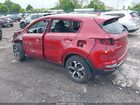 2020 Kia Sportage Lx Красный vin: KNDPM3AC4L7669994