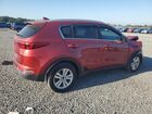 2018 Kia Sportage Lx Red vin: KNDPM3AC5J7462673