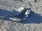 2018 Kia Sportage Lx Red vin: KNDPM3AC5J7462673