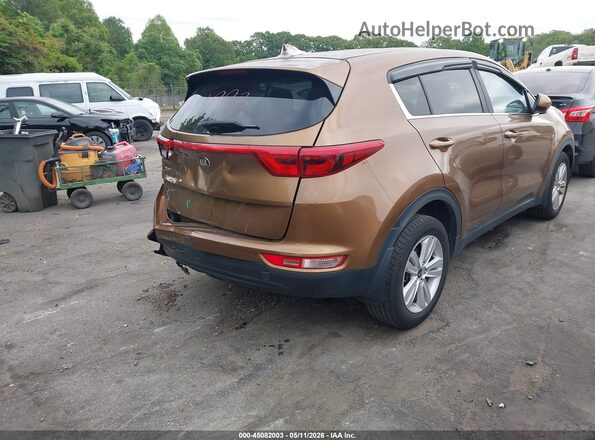 KNDPM3AC8H7042948 2017 KIA SPORTAGE Champagne Задняя правая четверть