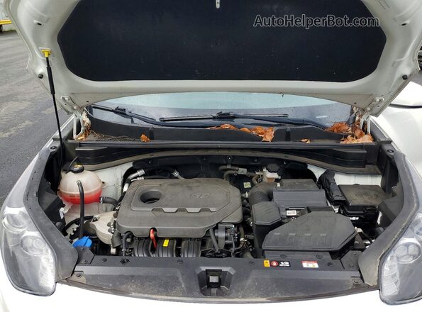 KNDPMCAC1M7933965 2021 KIA SPORTAGE Белый Вид задней части салона