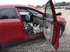 2019 Kia Sportage Lx Red vin: KNDPMCAC5K7612797
