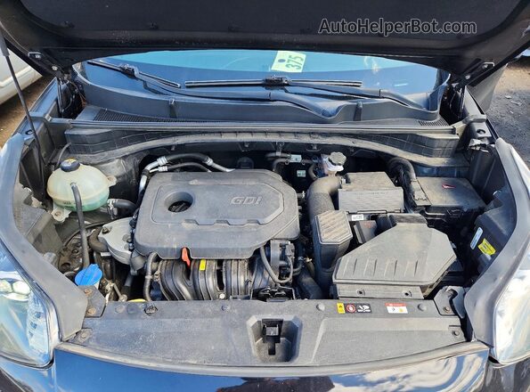 KNDPMCAC5L7728521 2020 KIA SPORTAGE Черный Вид задней части салона