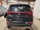 2018 Kia Sportage Черный vin: KNDPMCAC9J7470405