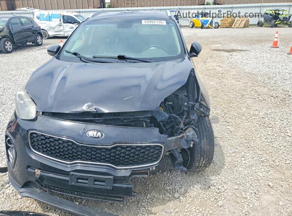 KNDPN3AC5H7137772 2017 KIA SPORTAGE Черный Вид спереди