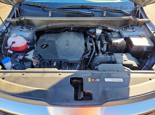 KNDPUCDF3R7235080 2024 KIA SPORTAGE Серый Вид задней части салона
