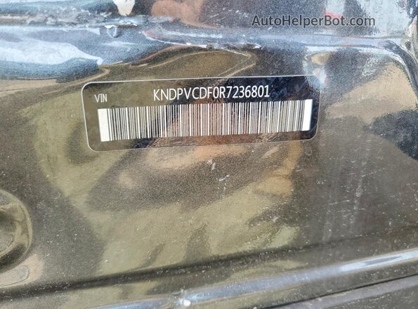 KNDPVCDF0R7236801 2024 KIA SPORTAGE Gray ძრავის განყოფილების ხედი