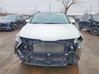 2024 Kia Sportage Ex White vin: KNDPVCDFXR7260006