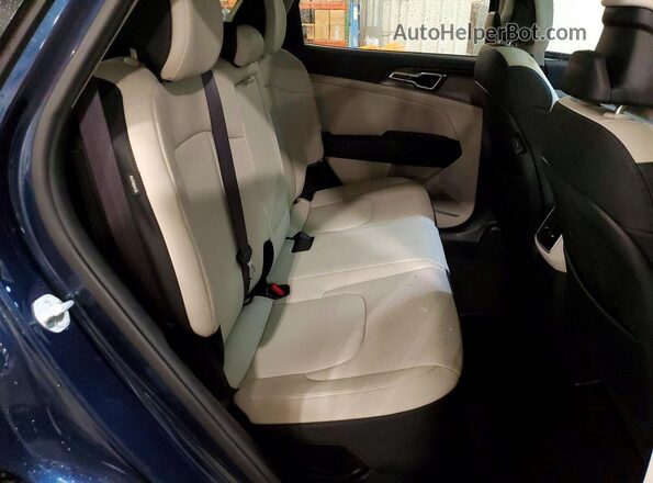 KNDPVCDG3R7152402 2024 KIA SPORTAGE Синий Вид задней части салона
