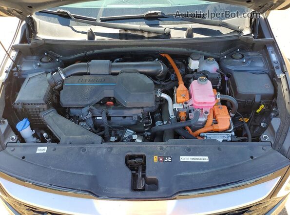 KNDPVCDGXR7155586 2024 KIA SPORTAGE Серый Вид задней части салона