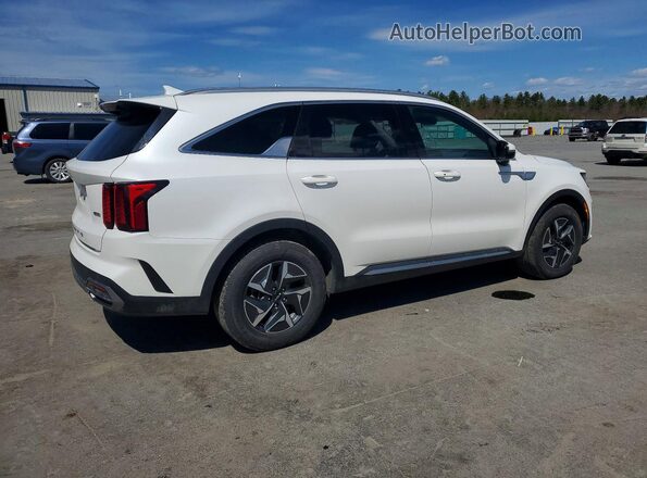 KNDRGDLG1N5121732 2022 KIA SORENTO Белый Задняя правая четверть