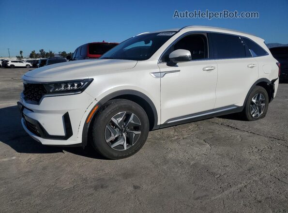 KNDRH4LG7P5169624 2023 KIA SORENTO Белый Передняя левая четверть