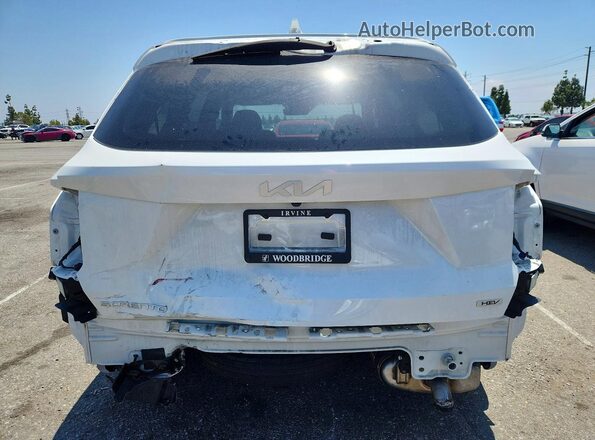 KNDRH4LG9P5216720 2023 KIA SORENTO Белый Вид сзади