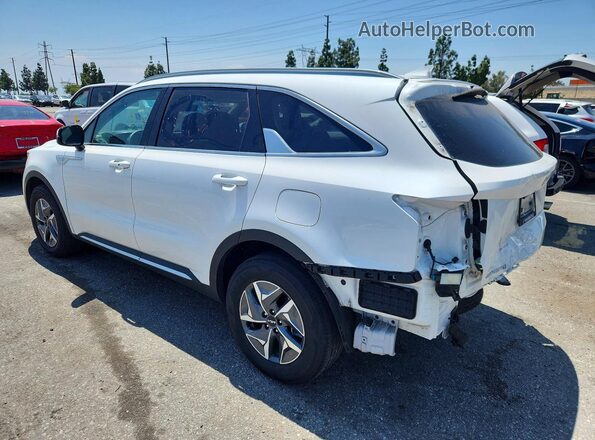 KNDRH4LG9P5216720 2023 KIA SORENTO Белый Задняя левая четверть