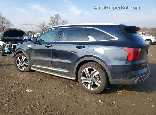 KNDRHDLG0P5213379 2023 KIA SORENTO Синий Задняя левая четверть