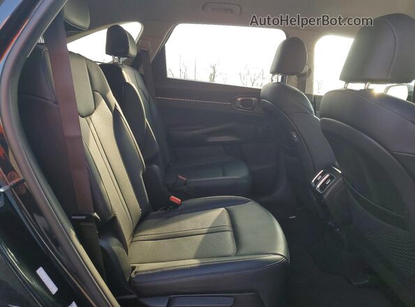 KNDRHDLG0P5213379 2023 KIA SORENTO Синий Вид задней части салона