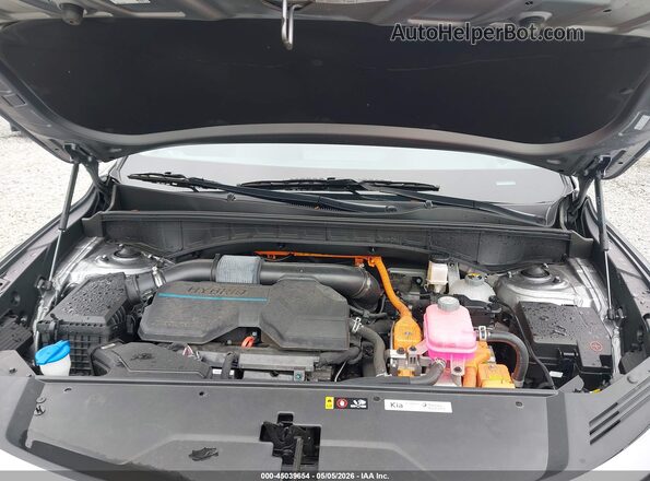 KNDRHDLG9P5162271 2023 KIA SORENTO HYBRID Gray Widok z tyłu
