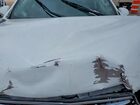 2020 Buick Envision Essence White vin: LRBFXCSA6LD157296
