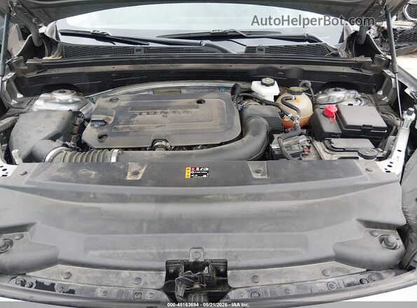 LRBFZME48RD066898 2024 BUICK ENVISION Серый Вид сзади