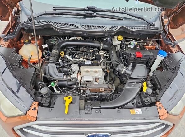 MAJ3S2GE5KC278727 2019 FORD ECOSPORT Коричневый Вид задней части салона