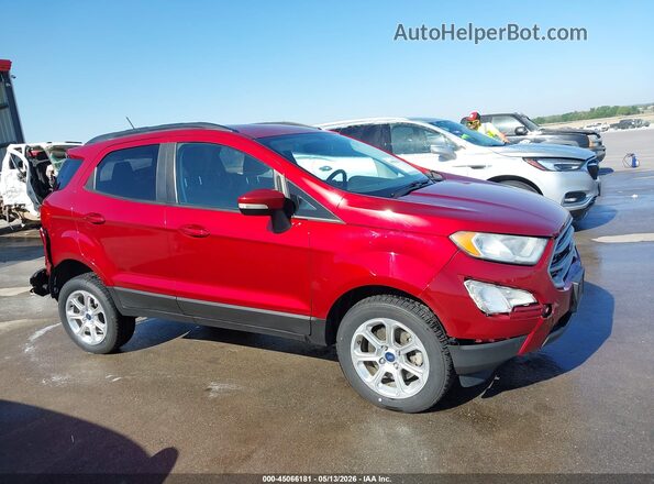MAJ6P1UL1JC183138 2018 FORD ECOSPORT Red უკანა სალონის ხედი