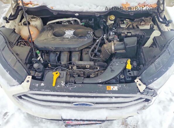 MAJ6P1UL2JC197775 2018 FORD ECOSPORT White Widok wnętrza z tyłu