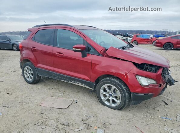MAJ6S3GLXLC369298 2020 FORD ECOSPORT Red Передня права чверть