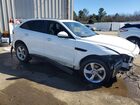 2020 Jaguar F-pace Premium Белый vin: SADCJ2FX2LA645536