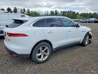 2019 Jaguar F-pace Premium White vin: SADCJ2FX4KA356740