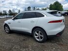 2019 Jaguar F-pace Premium White vin: SADCJ2FX4KA356740