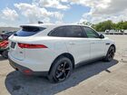 2020 Jaguar F-pace Premium Белый vin: SADCJ2FX7LA643779
