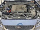 2019 Jaguar F-pace Premium Blue vin: SADCJ2FX8KA609459