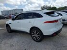 2019 Jaguar F-pace Prestige Белый vin: SADCK2FX6KA367431